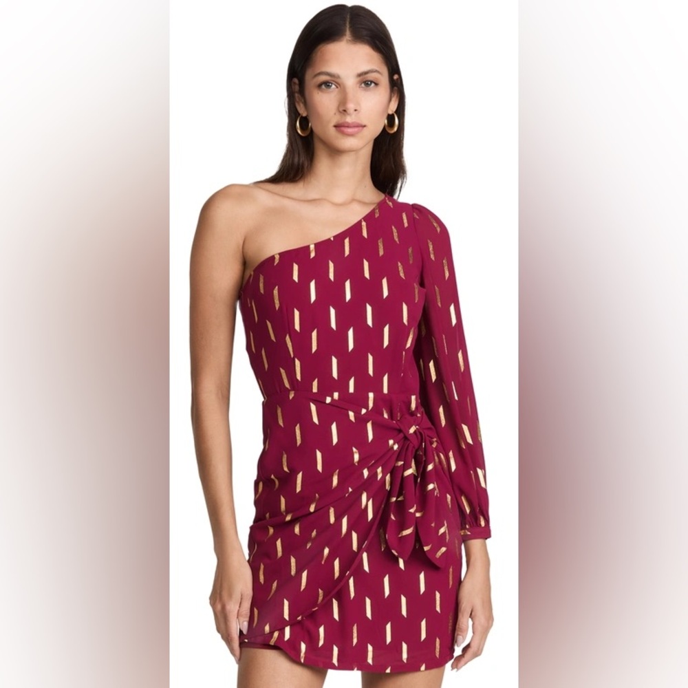 Yumi Kim Studio 54 Dress in Wine and Gold S